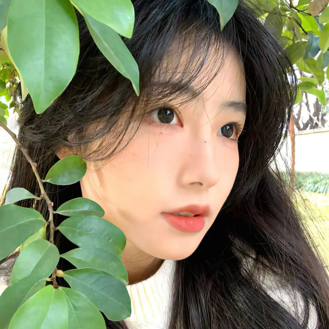 白云山传奇