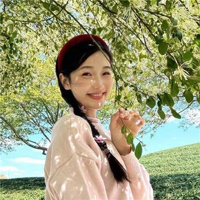 胡奇才决战新开岭